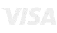 Logo Visa